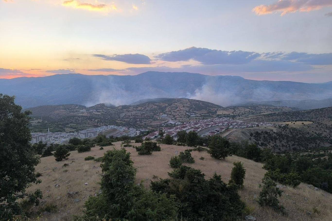 Malatya'da orman yangınını söndürme çalışmaları sürüyor