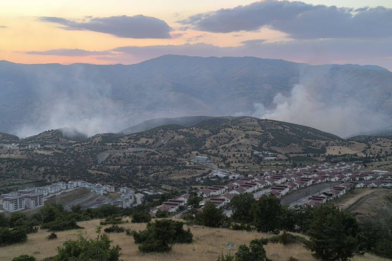 Malatya'da orman yangınını söndürme çalışmaları sürüyor