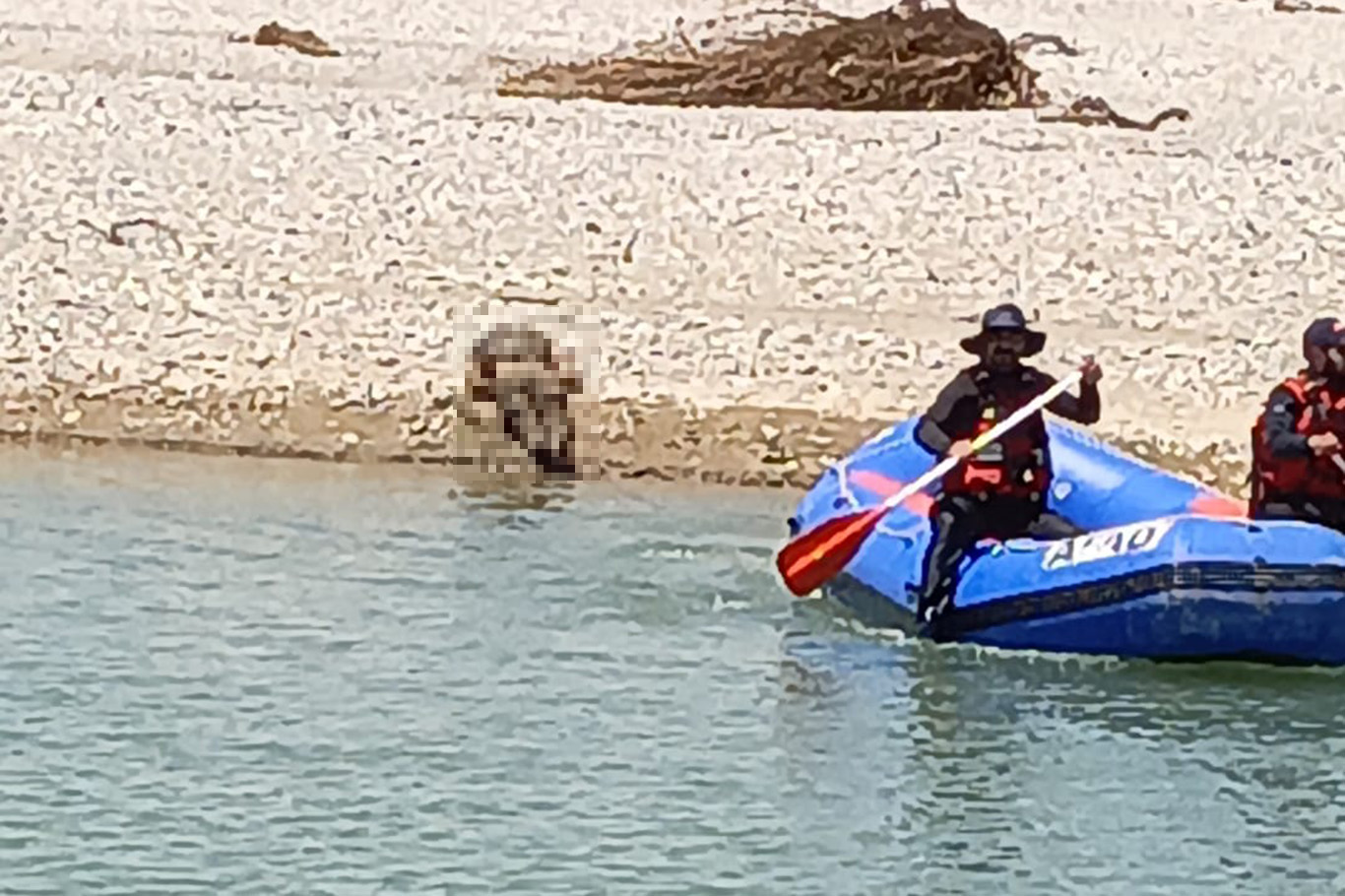 Masîvanê ku di Çemê Êlihê de winda bûbû mirî hat dîtin