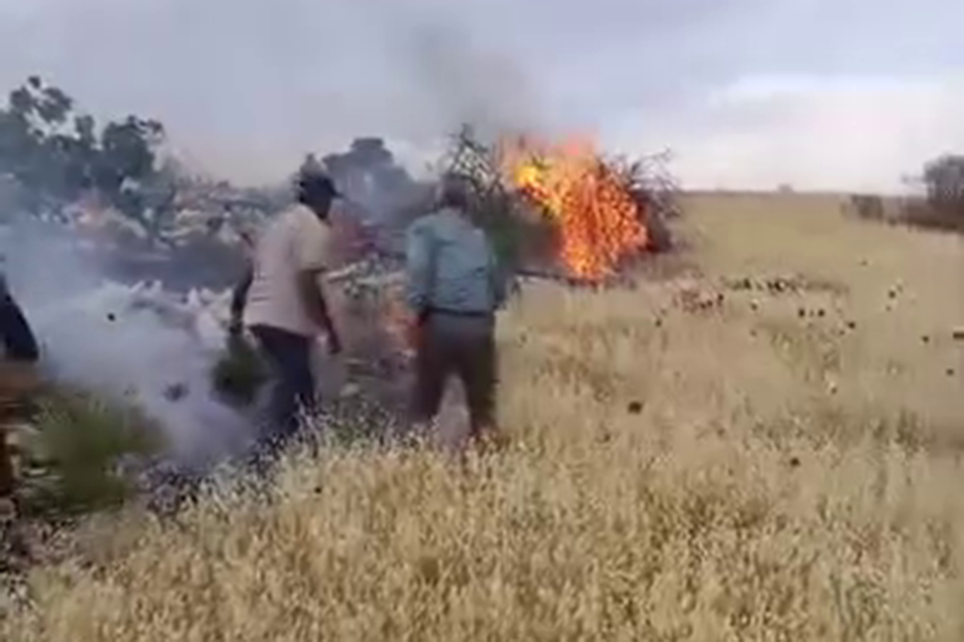 Gaziantep'te dağlık alanda çıkan yangın söndürüldü