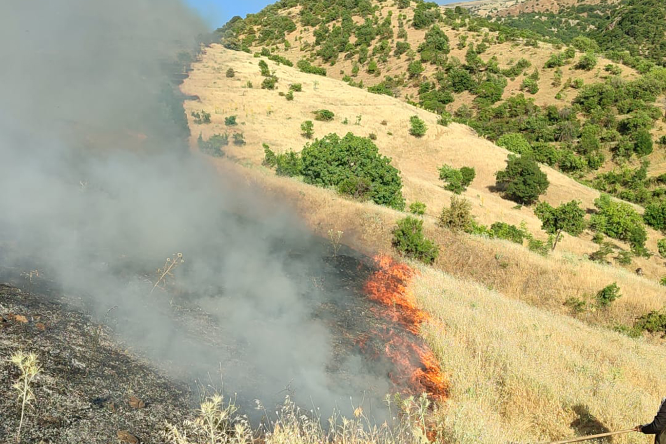 Li Meletîyê agir bi daristanê ket