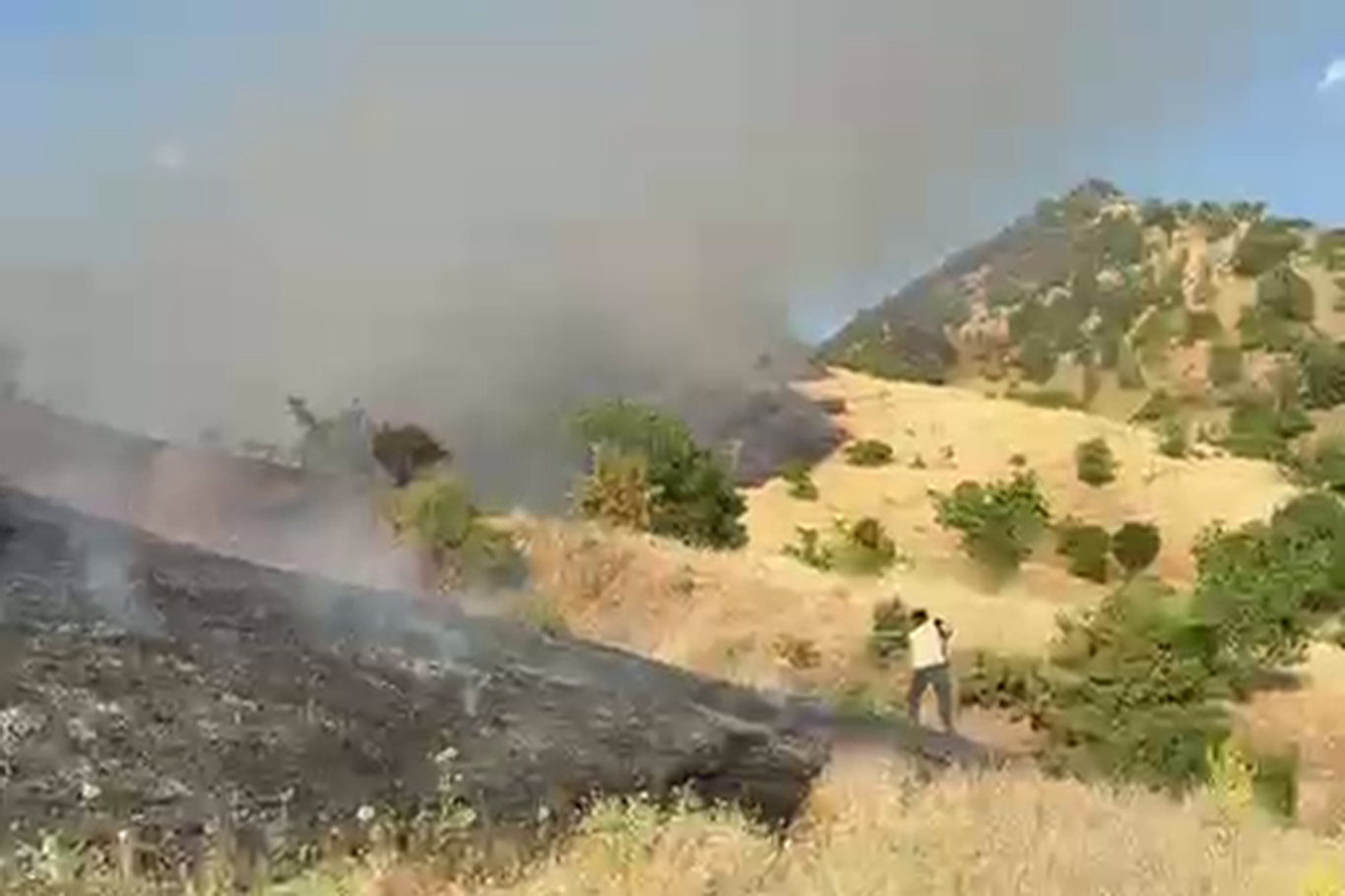 Li Meletîyê agir bi daristanê ket
