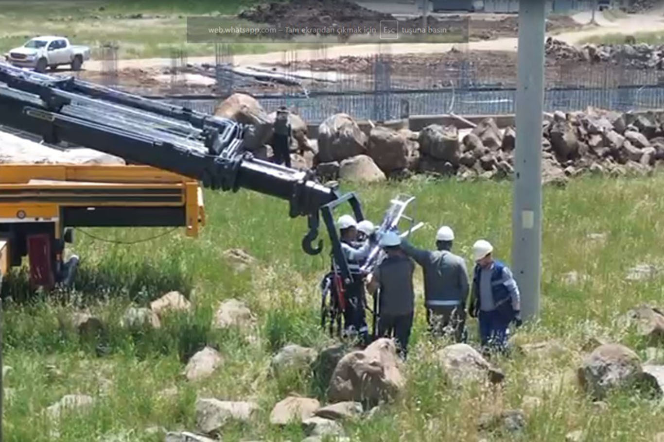 Elektrik direkleri göçmen kuşlar için güvenli yuvalara dönüşüyor