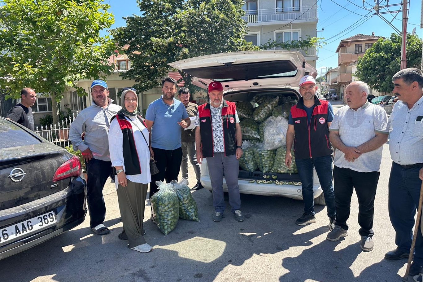 Bursa siyah inciri için ilek denetimleri tamamlandı