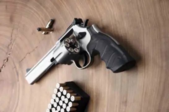 Erdoğan presents personalized pistols to NATO leaders