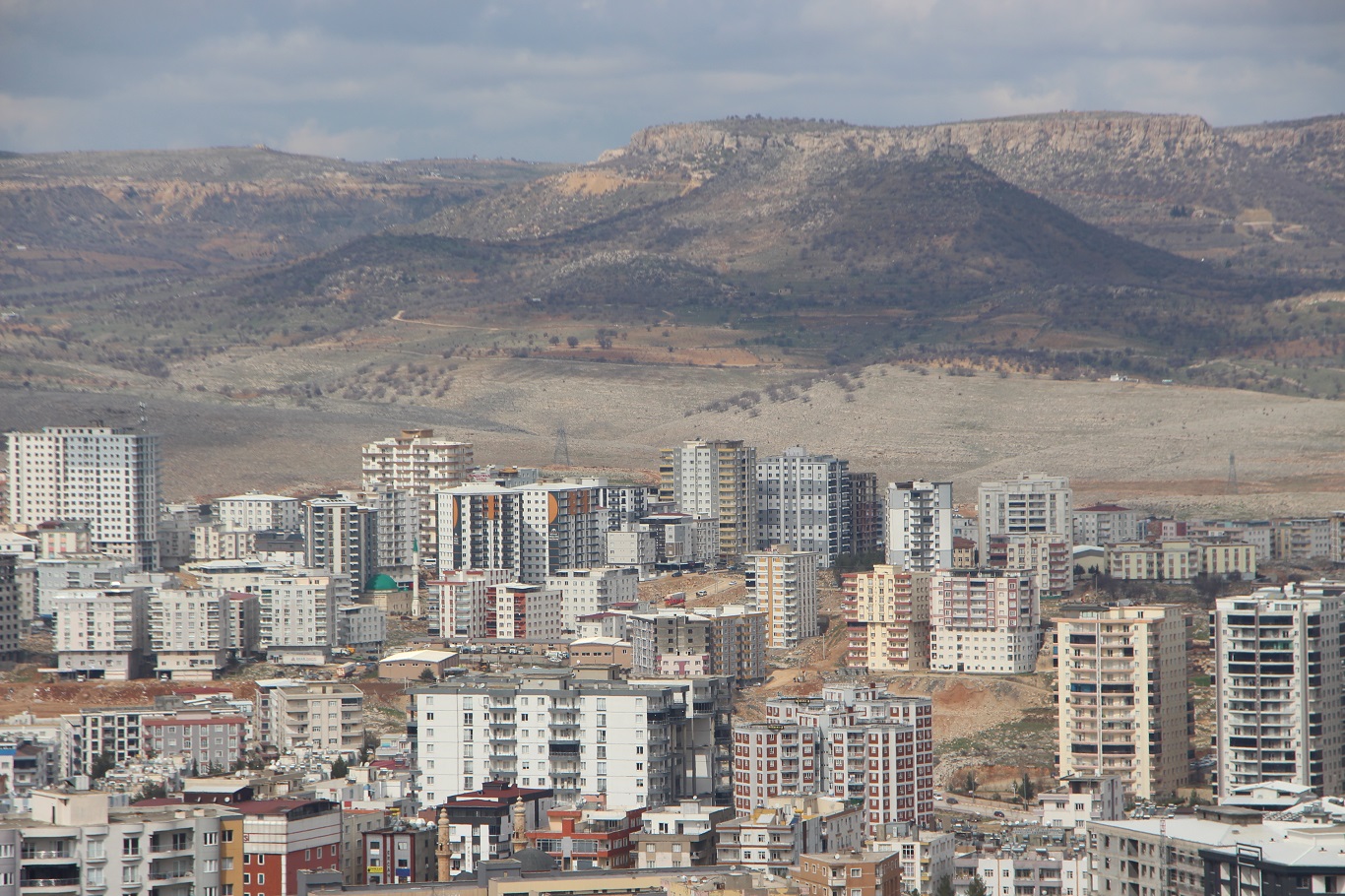 Mardin Yetkili Emlakçılar Derneği Başkanı Bulut: Vergi politikası emlak sektörünü bitirdi