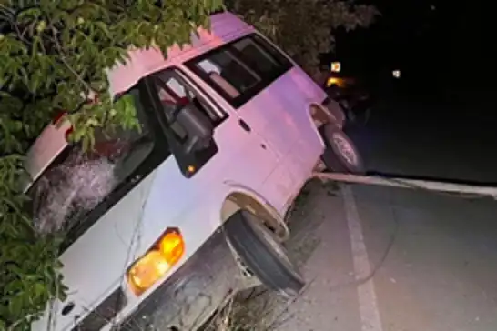 İzmir'de minibüs ağaca çarptı: 2 kişi yaralandı