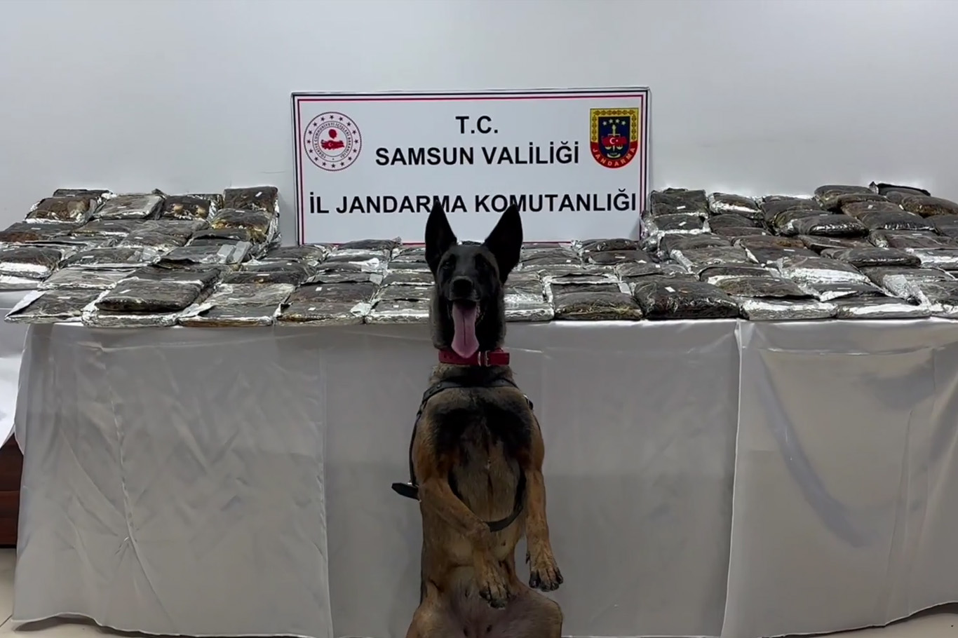 Samsun'da tırda 132 kilogram toz esrar ele geçirildi