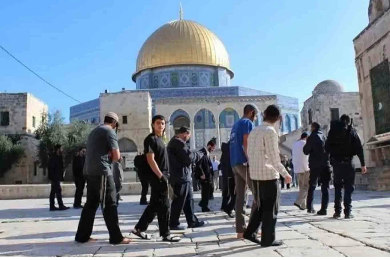 تحت حماية قوات الاحتلال.. 116 مستوطنًا يقتحمون باحات المسجد الأقصى