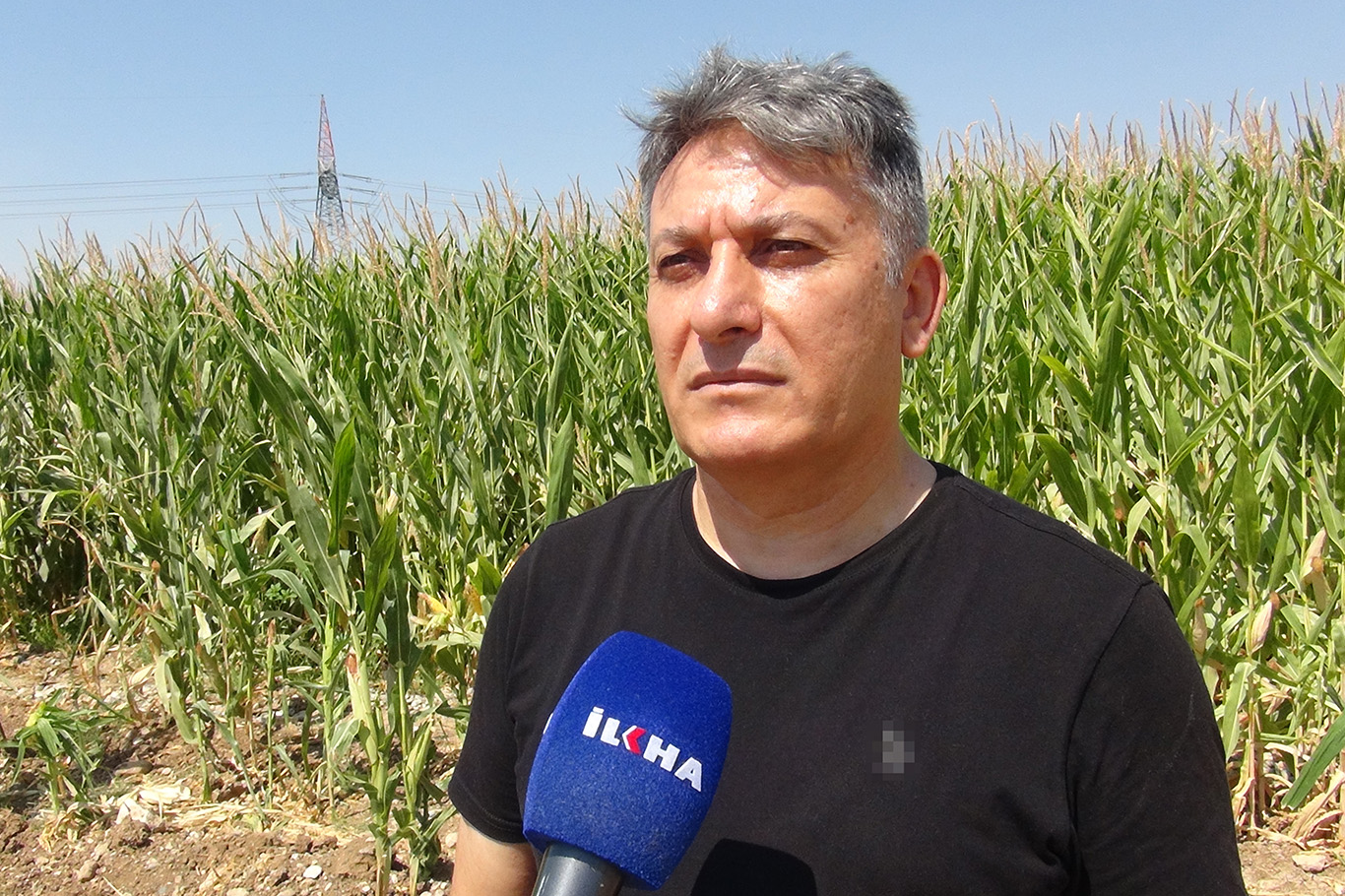 Ebubekir Doğan