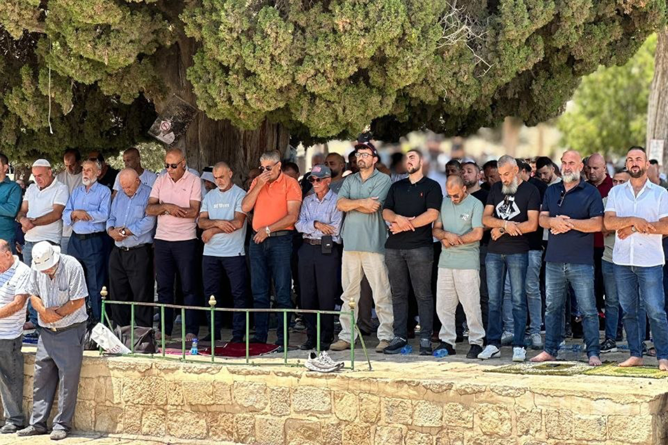 Hundreds of children gather in Siirt for “Life Is Beautiful with Prayer” event