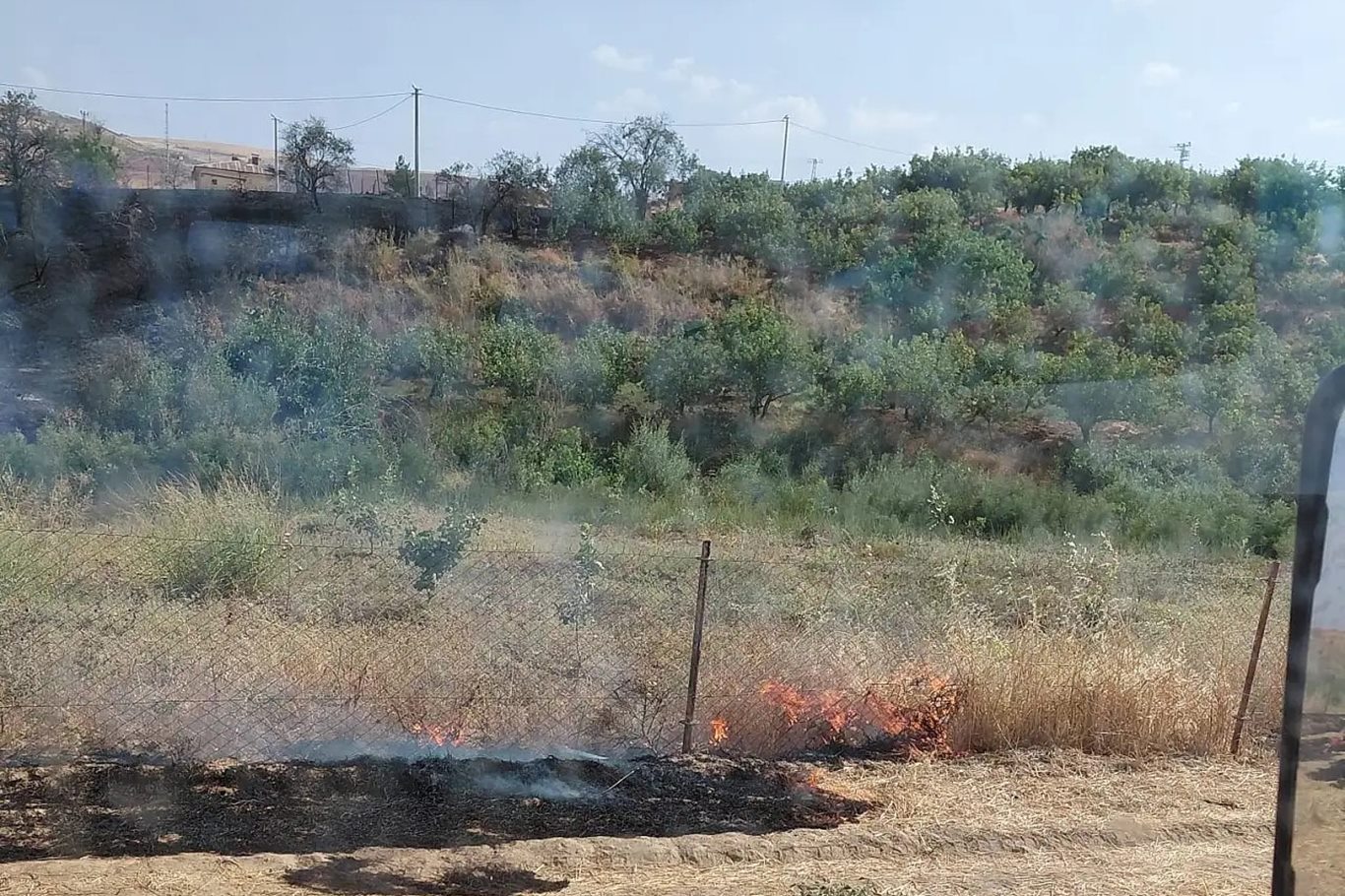 Siirt'te korkutan yangın: 85 dönümlük alan zarar gördü