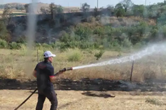 Siirt'te korkutan yangın: 85 dönümlük alan zarar gördü