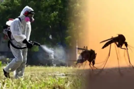 Greece braces for West Nile virus surge as peak season approaches