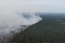 Belgium battles largest wildfire in its history as thousands of hectares burn