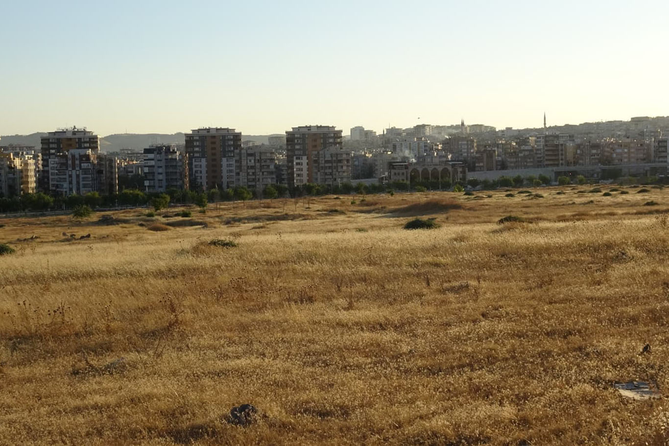 Şanlıurfa'da Polat'tan Şehir Hastanesi eleştirisi: 'Bir varmış, bir yokmuş'
