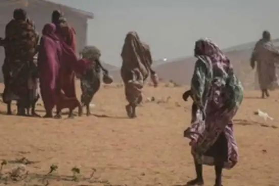 السودان.. 40 ألف نازح جراء تصاعد القتال بإقليم النيل الأزرق