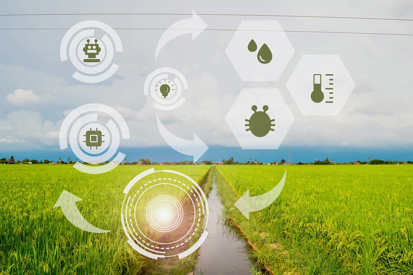 Akıllı Sera Teknolojileri programı, tarımsal üretimi yapay zekâ ve otomasyonla buluşturuyor