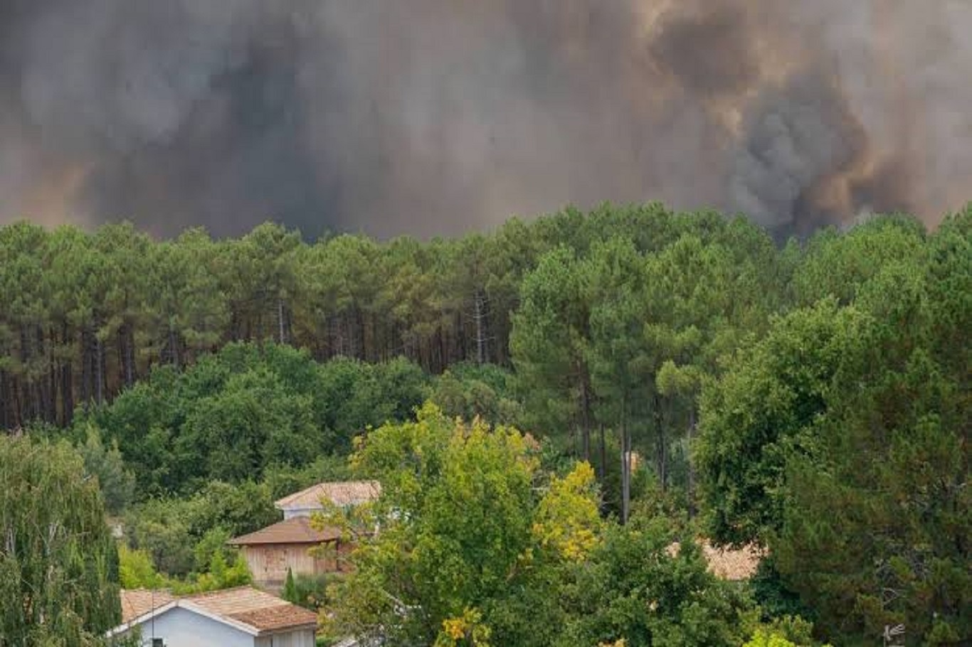 France brings 1,700-hectare wildfire under control after four-day firefighting efforts