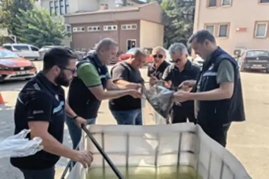 Bursa’da 13 milyon yavru balık su kaynaklarıyla buluşturuldu