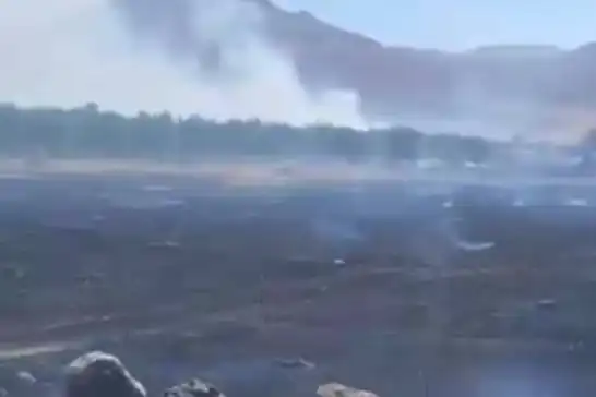 Malatya'da çıkan yangın yerleşim yerlerine sıçradı