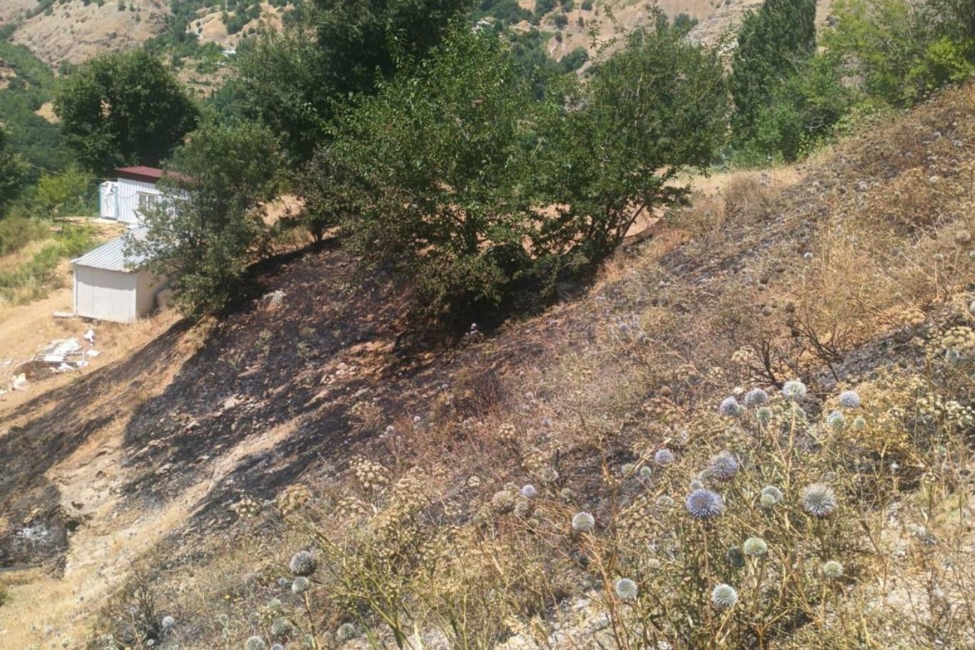 Malatya'da ot ve odunluk yangını