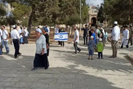 223 Israeli settlers storm Al-Aqsa Mosque under heavy police protection