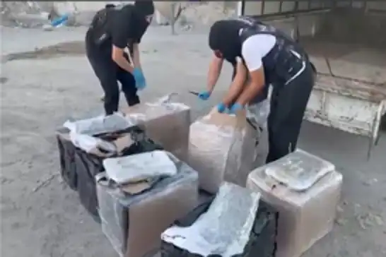 İstanbul Zeytinburnu'nda 83 kilogram skunk ele geçirildi