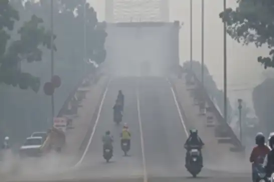 Indonesia on high alert as wildfires send haze across borders  