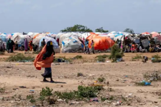 Birleşmiş Milletler, Somali'de ciddi bir gıda kıtlığı yaşandığını bildirdi