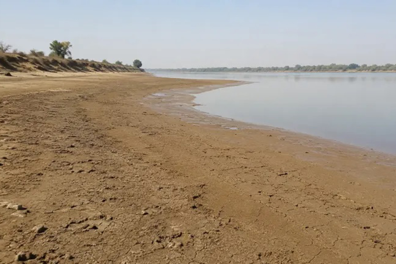 Sudan'da Nil alarmı: Kuraklık ve savaş ülkenin "gıda ambarını" vuruyor
