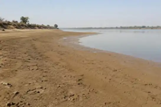Sudan'da Nil alarmı: Kuraklık ve savaş ülkenin "gıda ambarını" vuruyor
