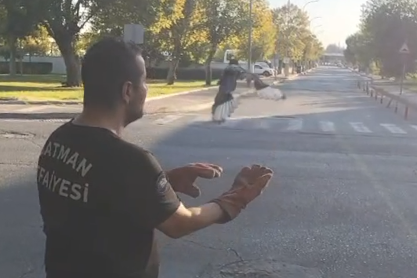 Batman'da direğe dolanan kuş kurtarıldı