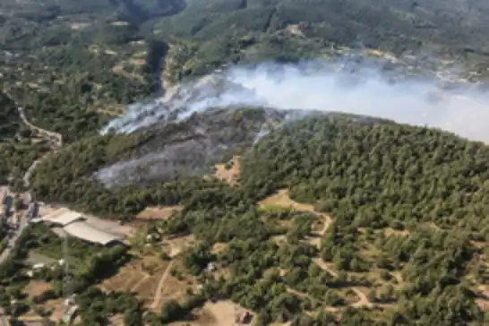 Bursa’da 3 ayrı noktada çıkan orman yangınları kontrol altına alındı