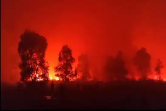Thousands evacuated as fast-moving wildfire reaches outskirts of Reno, Nevada