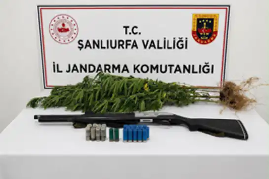 Şanlıurfa'da uyuşturucu operasyonu: Bir şüpheli gözaltına alındı