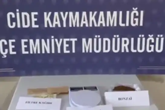 Kastamonu’da uyuşturucu operasyonunda bir şüpheli tutuklandı
