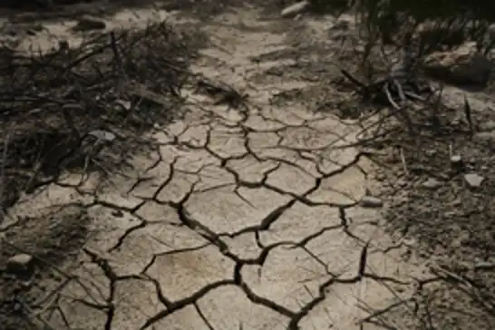 US declares drought disaster in 26 Puerto Rico municipalities as water crisis deepens