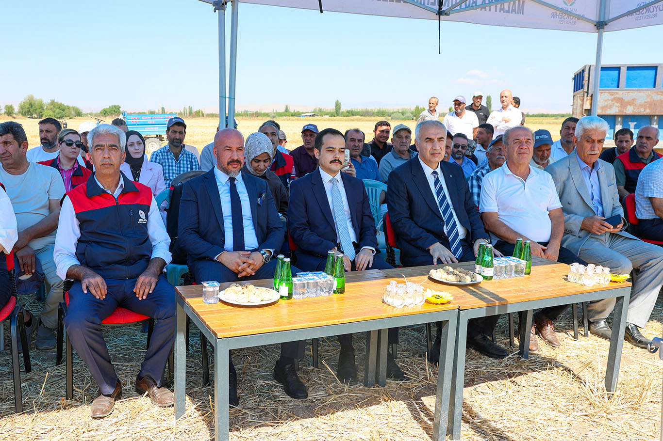 Malatya'da çerezlik ayçiçeğinde hasat başladı