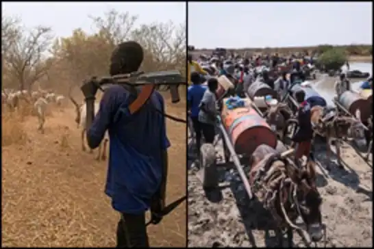 حمله مسلحانه برای سرقت دام در سودان جنوبی: ۴۹ نفر جان خود را از دست دادند