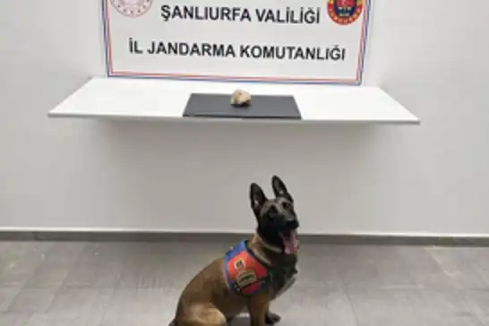 Şanlıurfa'da uyuşturucu operasyonunda bir şüpheli tutuklandı