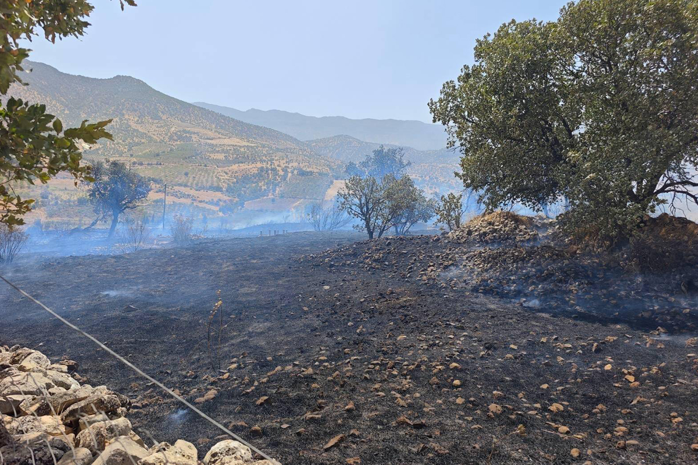 Siirt’te 5 ayrı orman ve arazi yangını: 4’ü kontrol altına alındı, 1 yangına müdahale sürüyor