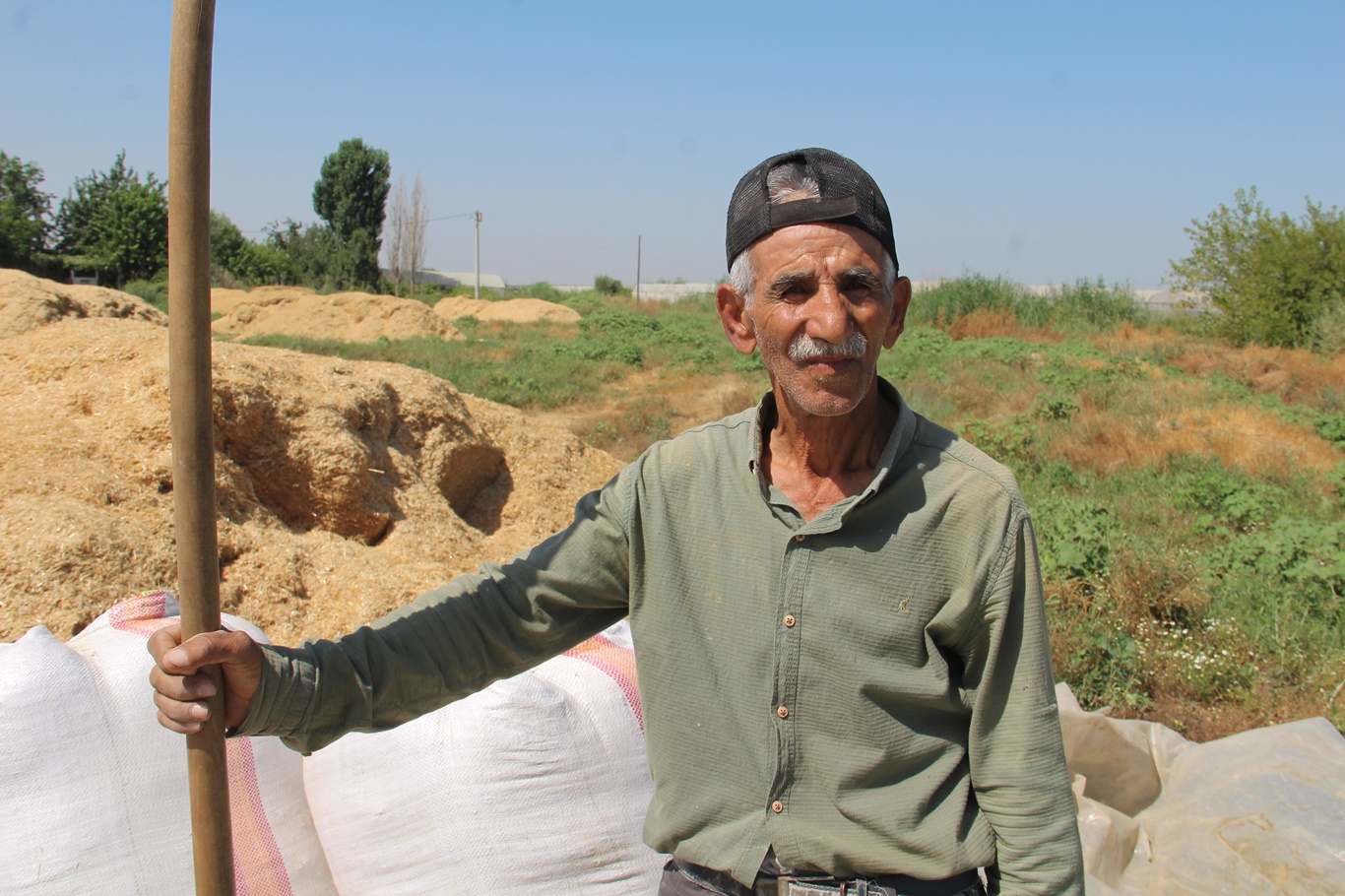 Azizi Biçen
