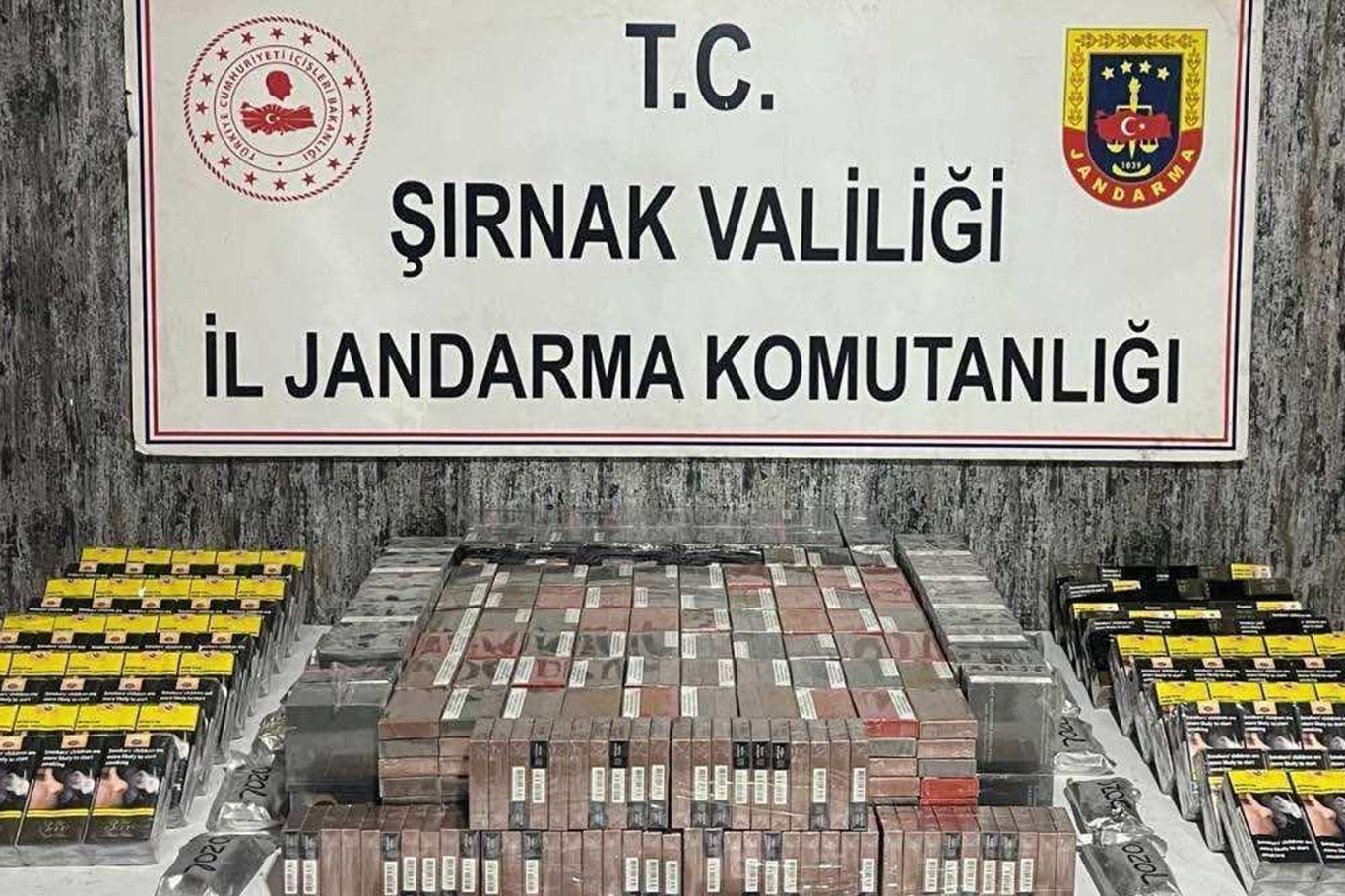 Şırnak'ta 222 şüpheli hakkında işlem yapıldı