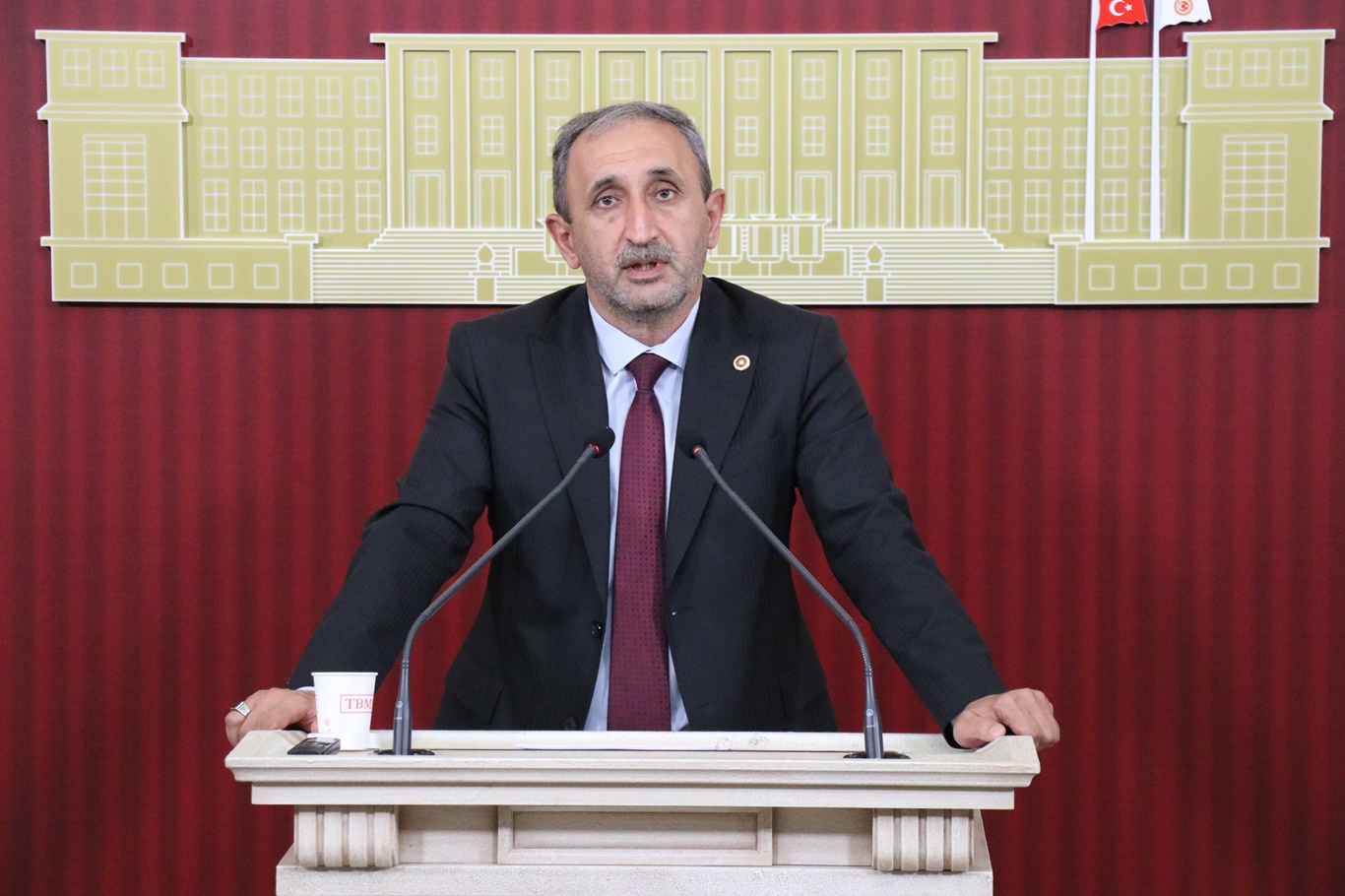 Şahzade Demir 