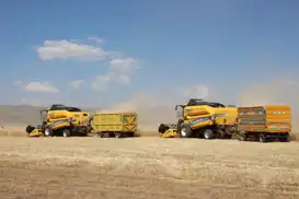 Ağrı'da hububat hasadı törenle başladı