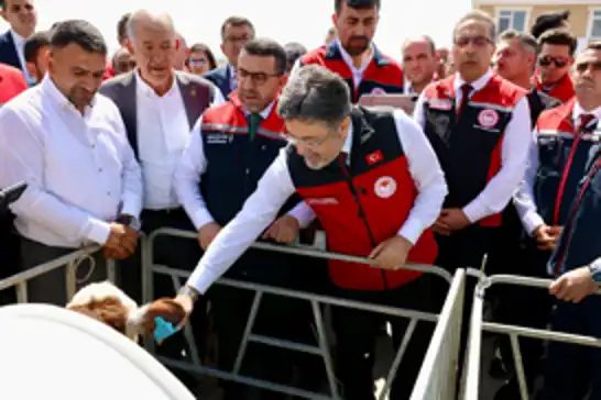 17 milyon büyükbaş hayvan için dijital küpe sistemi başlatıldı 