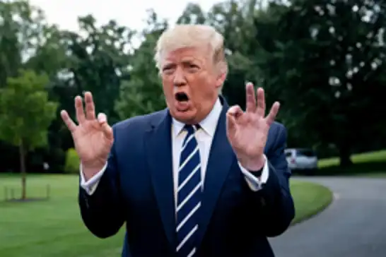 Trump yönetiminin seçimlere müdahale girişimine yargı set çekti: 21. yenilgi
