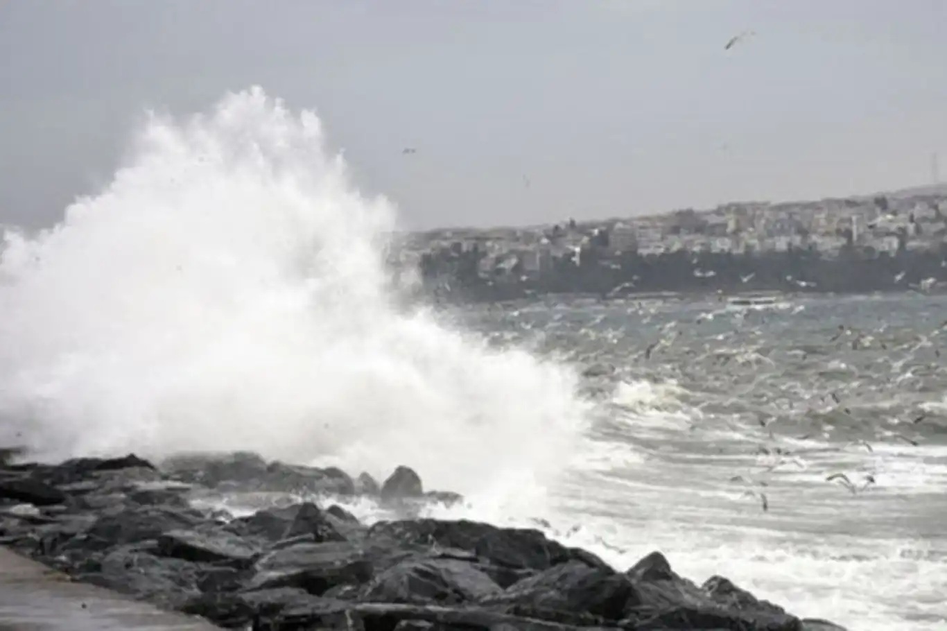 İstanbul’un bir ilçesinde denize giriş yasaklandı