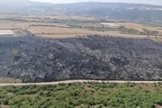 Bursa’da iki ilçedeki orman yangınları kontrol altına alındı